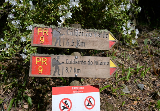 .Madeira